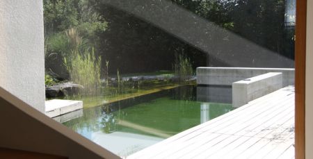 Hausgarten_L-5.JPG