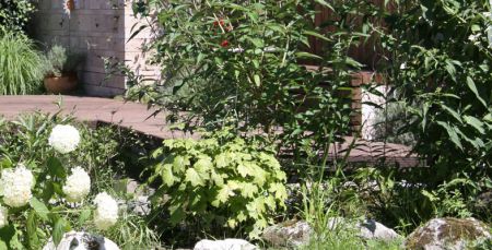Hausgarten_B-7.JPG