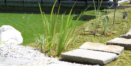 Hausgarten_B-3.JPG